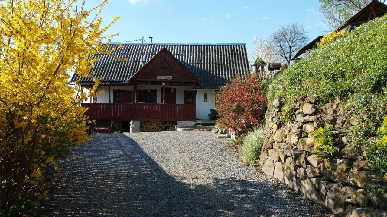 Meselak Villa Ocna de Sus Exterior photo